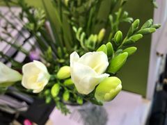 -妃比花艺(光启城时尚购物中心店)