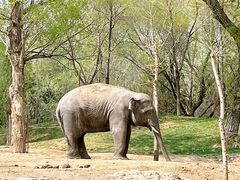 -北京野生动物园
