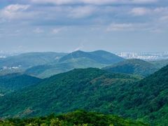 -南京老山国家森林公园