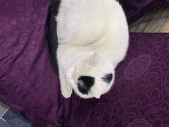 -蜀膳坊(洪公祠小区店)