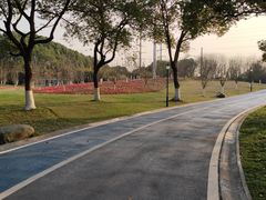 -新洲生态园