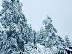 -峨眉山风景名胜区