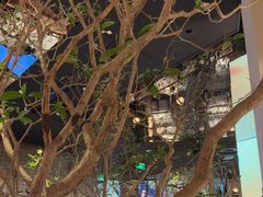 -桂满陇·海市蜃楼·黑金(国金店)