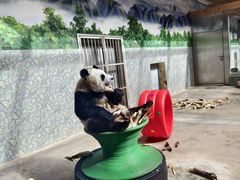 -西安秦岭野生动物园