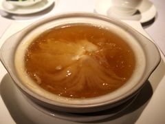 -新同乐鱼翅酒家(美丽华店)