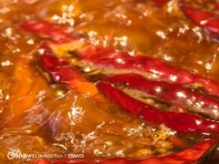 牛油红锅-蜀江龙火锅(339店)