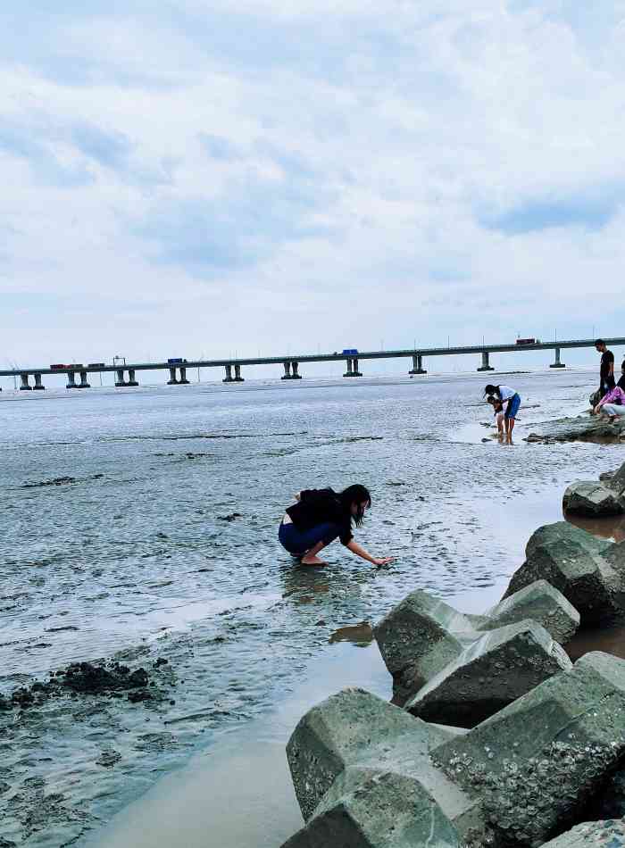 芦潮港海滩