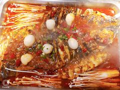 -鱼酷活鱼烤鱼(昆明路店)