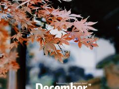 -龙华寺
