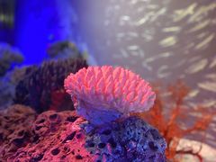 -海口市博物馆