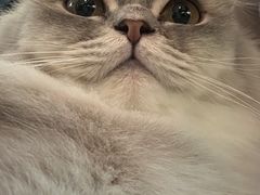 -平行世界·猫咖(首经贸店)