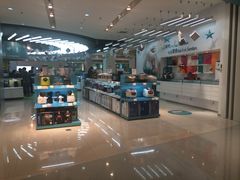 -sundanpulse顺电·脉(海岸城购物中心店)