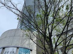 -上海中心大厦