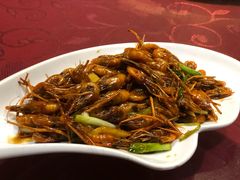 -曾牛土菜(捷瑞达店)