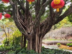 -金鸡山公园
