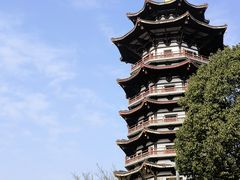 -洋湖国家湿地公园
