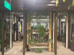 -青青一生美皮肤管理