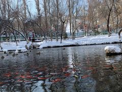 -水磨沟公园