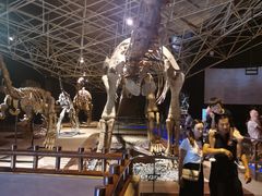 -世界恐龙谷景区