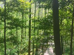 -凤栖山