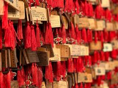 -峨眉山报国寺