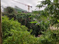 -观澜湖华谊冯小刚电影公社(百年记忆公社)