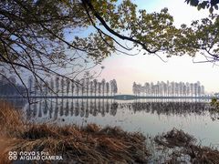 -东湖生态旅游风景区