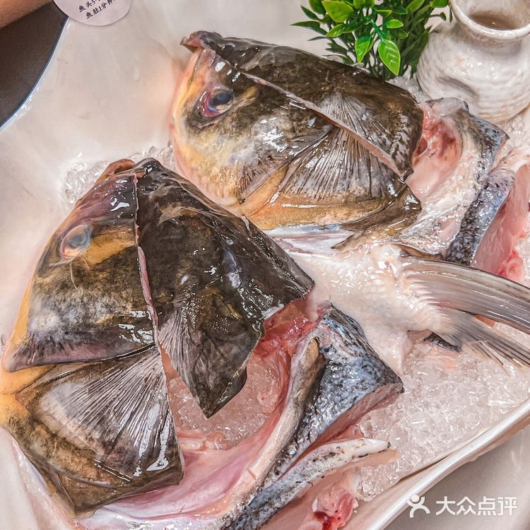 珠海这家鱼头火锅香晕我[流泪]大家都给我去吃‼️
