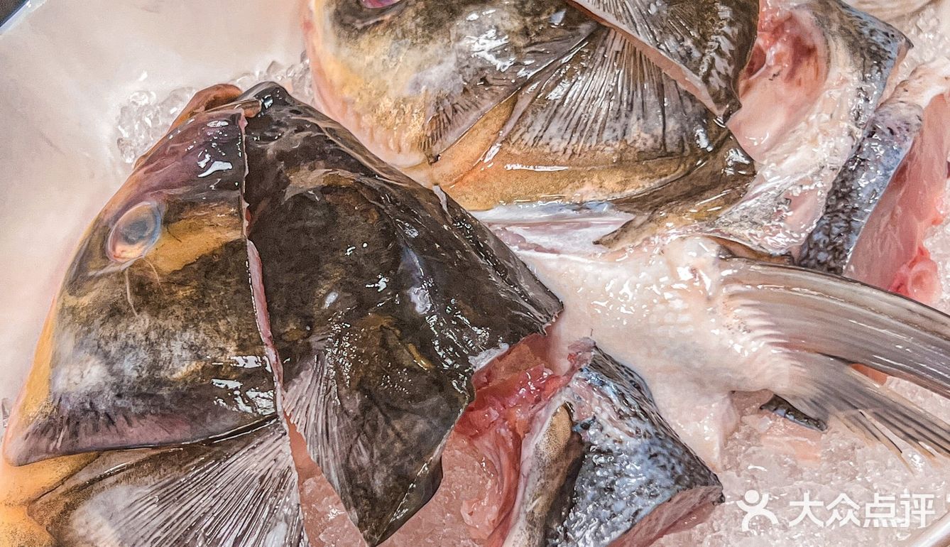 珠海这家鱼头火锅香晕我[流泪]大家都给我去吃‼️