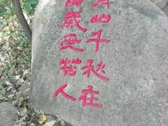 -玉渡山自然风景区