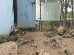 -无锡动物园·太湖欢乐园