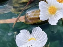 -丽江泸沽湖景区