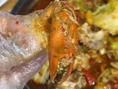 -瑞丽活螃蟹(芒市店)