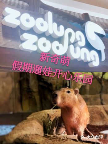 假期快到啦，家长们准备带宝宝去哪里玩呀