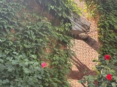 -西安电影制片厂