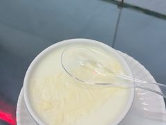 -义顺牛奶公司(新马路老店)