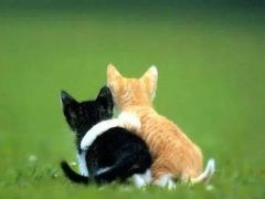 -飞童凡响艺术学校(松江区九里亭校区)