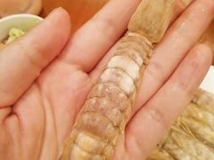 -元一希尔顿酒店·禅自助餐厅·啤酒花园