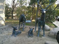 -溱湖国家湿地公园