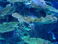 -泉城欧乐堡海洋极地世界