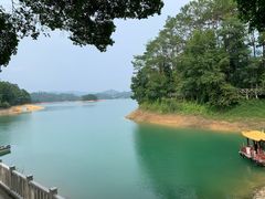 -广州市流溪河国家森林公园