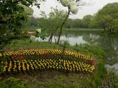 -西湖外事游船(湖滨二公园外事游船码头)