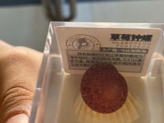 -青岛贝壳博物馆