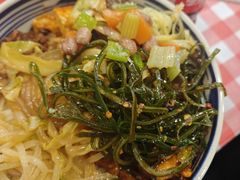 -邵年鸽(杨庄店)