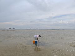 -北海金海湾红树林生态旅游区