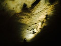 -怀托摩萤火虫洞