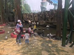 -乐融儿童之家早教托育(武昌校区)