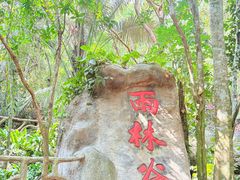-呀诺达热带雨林
