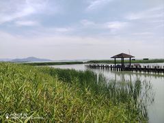 -苏州太湖湖滨国家湿地公园