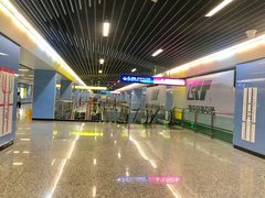 -大龙山(地铁站)